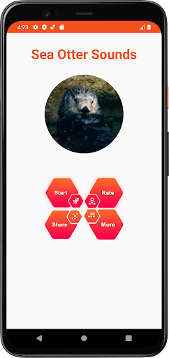 Sea Otter Sounds Screen 2