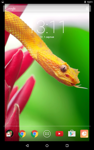 Orange Snake Live Wallpaper