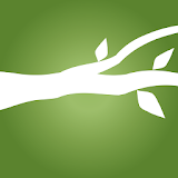 Branches Mobile icon