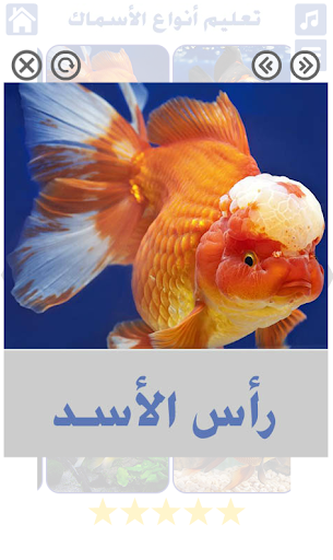 أنواع الأسماك و صور أسماك Screen 3