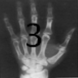 MANUAL RADIOLOGIA 3: Download & Review