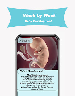 My Week By Week Pregnancy App