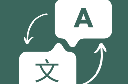 Translate Pro