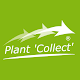 Plant Collect Download on Windows