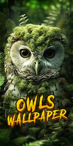 Android application owl wallpaper screenshort