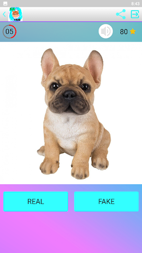 QUIZ ¿Es un PERRO de VERDAD? Screen 3