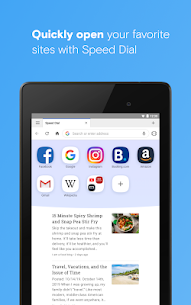 Opera browser beta 11