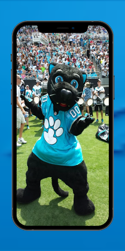Carolina Panthers Pics