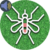 Mosquito Ringtone icon