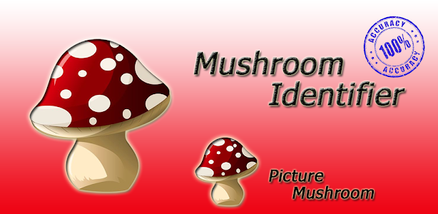 Mushroom identifier Unknown