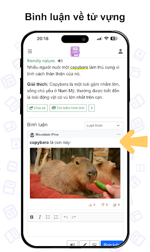 Từ điển Anh Việt ENVI