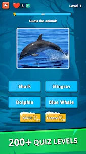 Animal Quiz Guess their Answer