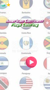 color Flag Americas