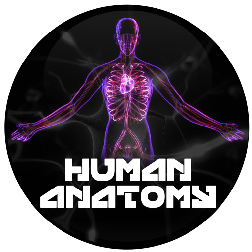 Human Anatomy (AR) logo