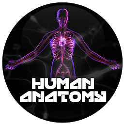 Icon image Human Anatomy (AR)