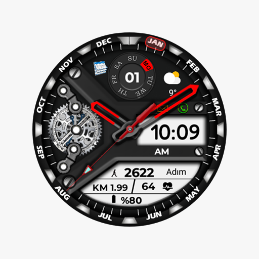 Animated FS W250 Watchface