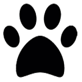 Face Dog icon