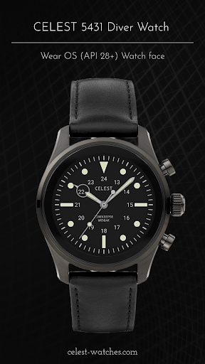 CELEST5431 Diver Watch screenshot 4