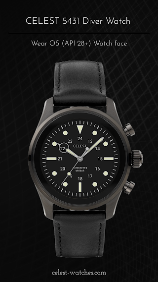CELEST5431 Diver Watch screenshot 4