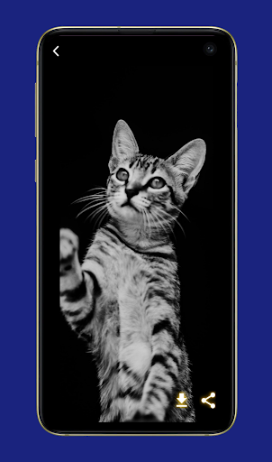 Black Wallpapers Full HD Screen 2