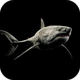 Gambar ikon Shark 4K Video Live Wallpaper