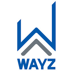 WAYZ Services: Download & Review
