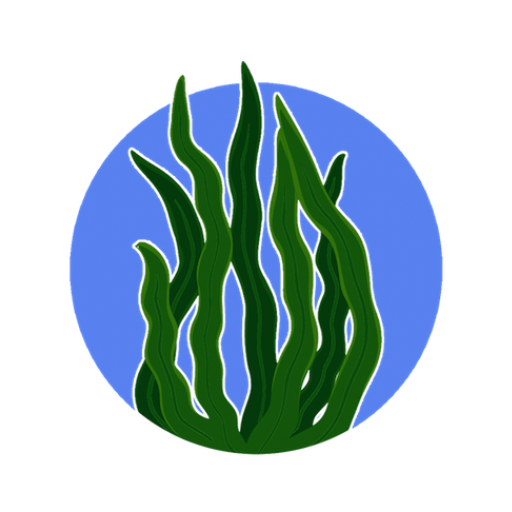 Cise BRIN logo