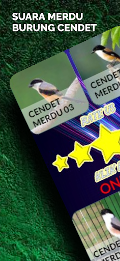 Android application Suara Burung Cendet screenshort