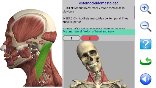 Captura de Pantalla 1 Visual Anatomy android