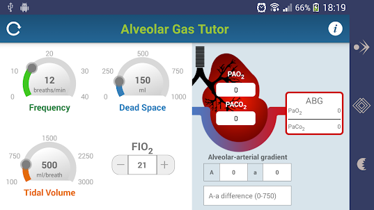 Alveolar Gas Tutor