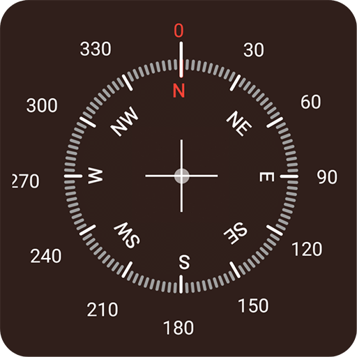 Pro Smart Digital Compass