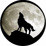Gray Wolf Wallpapers icon