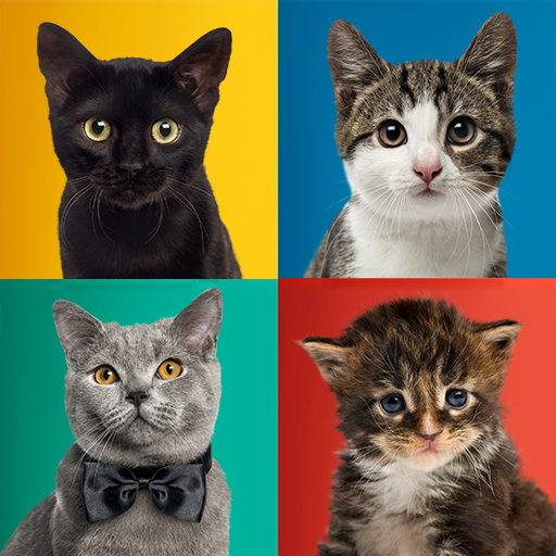 Cat Sounds logo