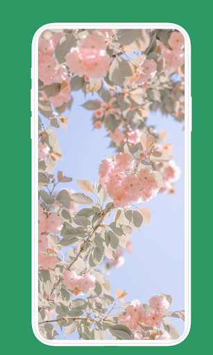 Spring Vibes Wallpaper HD Screen 2