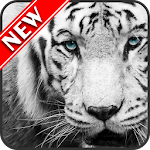 Cover Image of Скачать White Tiger Wallpapers  APK