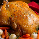 Chicken and Turkey Recipes icon