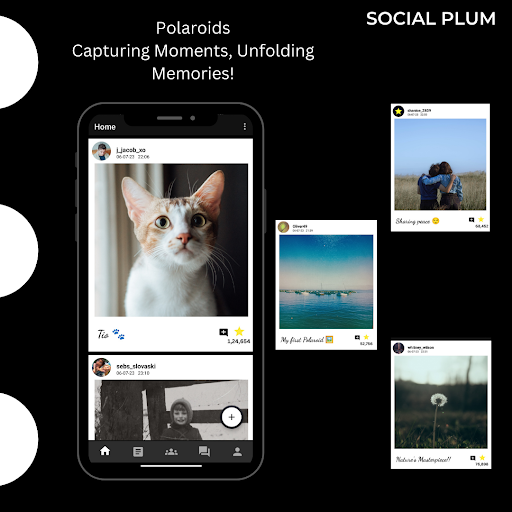 Social Plum: Share & Inspire Screen 2