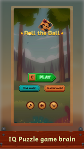 Roll the ball IQ slide puzzle