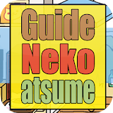 Guide for Neko Atsume icon