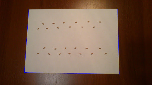 SeedCounter Screen 3