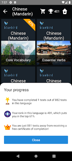 Mandarin Chinese Language Test Screen 3