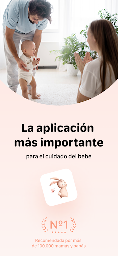 Vista previa de la aplicación
