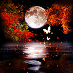 Cover Image of Download 4K Wallpaper HD - Autumn Bloss  APK