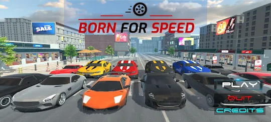 Born For Speed Pro
