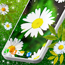 Descargar 3D Daisy Live Wallpaper 🌼 Spring Field T Instalar Más reciente APK descargador