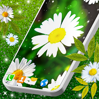 3D Daisy Live Wallpaper ? Spring Field Themes