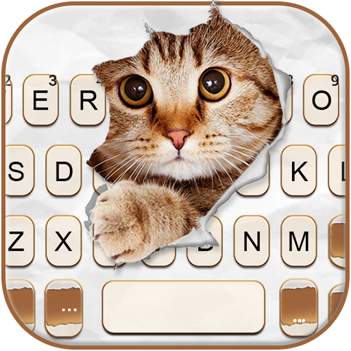 Curious Cat Keyboard Backgroun  Icon