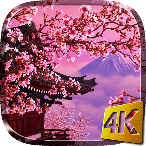 My Image 15