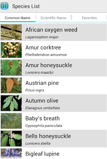 MISIN: Report Invasive Species Screen 2
