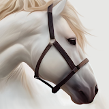 Horse Wallpaper HD: Themes icon